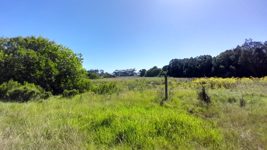 0 Bedroom Property for Sale in Wittedrift AH Western Cape